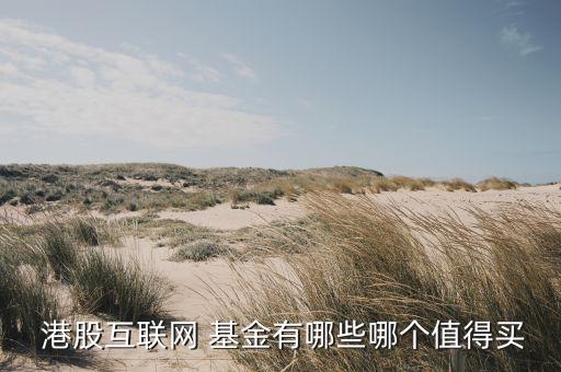  港股互聯(lián)網(wǎng) 基金有哪些哪個(gè)值得買(mǎi)