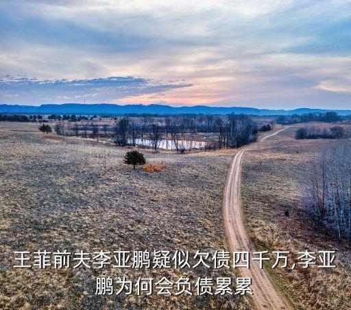 王菲前夫李亞鵬疑似欠債四千萬,李亞鵬為何會(huì)負(fù)債累累