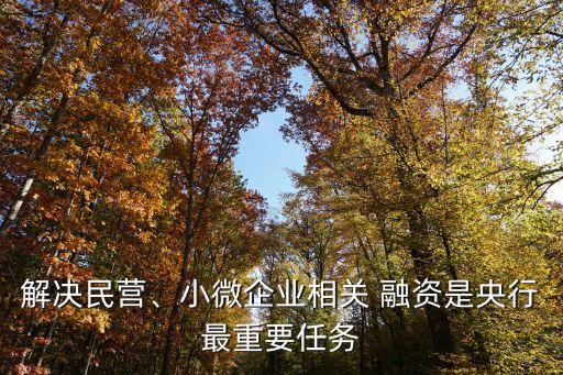 解決民營、小微企業(yè)相關(guān) 融資是央行最重要任務