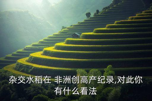 雜交水稻在 非洲創(chuàng)高產紀錄,對此你有什么看法