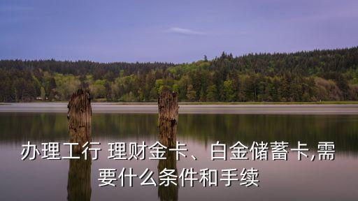辦理工行 理財(cái)金卡、白金儲(chǔ)蓄卡,需要什么條件和手續(xù)