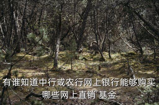 有誰知道中行或農行網(wǎng)上銀行能夠購買哪些網(wǎng)上直銷 基金