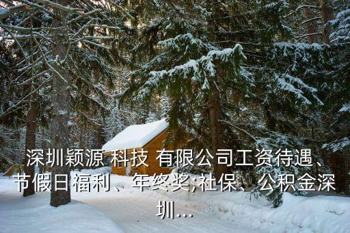 深圳穎源 科技 有限公司工資待遇、節(jié)假日福利、年終獎;社保、公積金深圳...