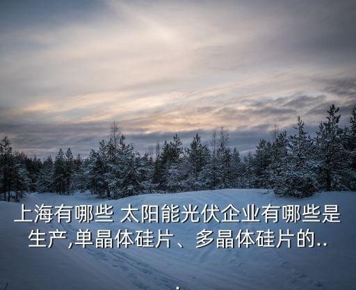 上海有哪些 太陽能光伏企業(yè)有哪些是生產,單晶體硅片、多晶體硅片的...