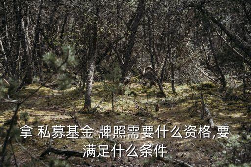 拿 私募基金 牌照需要什么資格,要滿(mǎn)足什么條件