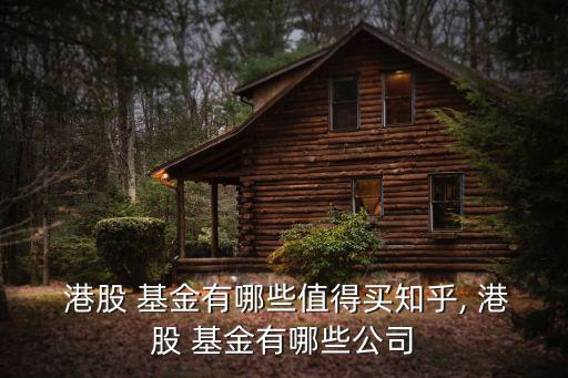  港股 基金有哪些值得買(mǎi)知乎, 港股 基金有哪些公司