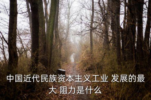 中國經濟發(fā)展的阻力,經濟發(fā)展有阻力