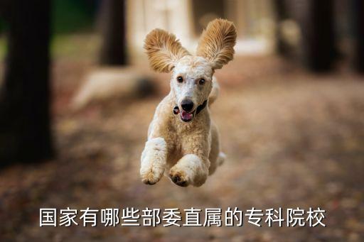 國家有哪些部委直屬的?？圃盒? class=
