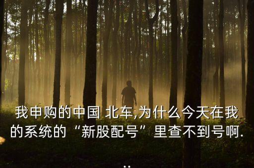 我申購(gòu)的中國(guó) 北車(chē),為什么今天在我的系統(tǒng)的“新股配號(hào)”里查不到號(hào)啊...