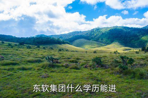  東軟集團什么學(xué)歷能進