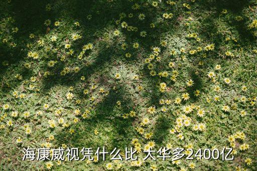 ?？低晳{什么比 大華多2400億