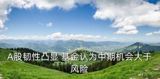 A股韌性凸顯 基金認(rèn)為中期機會大于風(fēng)險