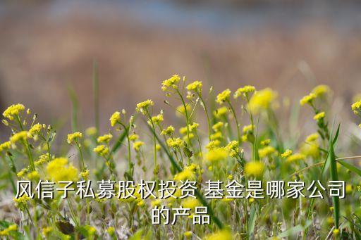 國創(chuàng)開元母基金,國開開元基金董事長