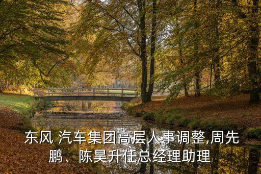  東風(fēng) 汽車集團(tuán)高層人事調(diào)整,周先鵬、陳昊升任總經(jīng)理助理