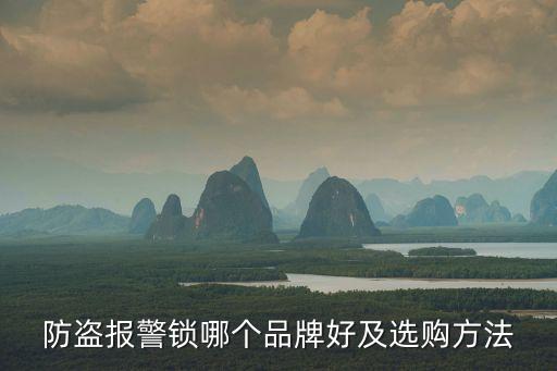 防盜報(bào)警鎖哪個(gè)品牌好及選購(gòu)方法