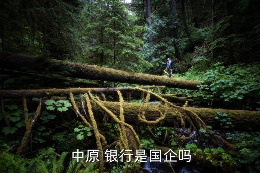  中原 銀行是國(guó)企嗎