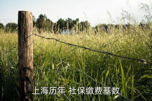 2012社?；鹂傤~,社保基金總額是什么意思