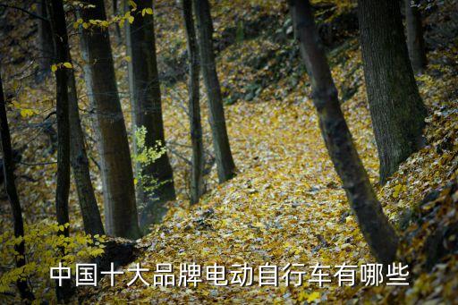 中國(guó)十大品牌電動(dòng)自行車(chē)有哪些
