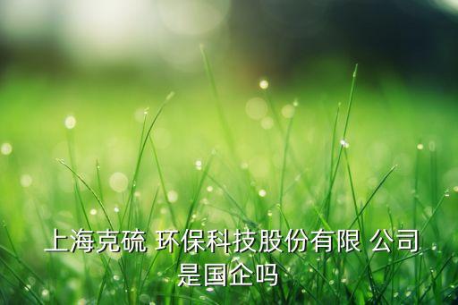 上?？肆?環(huán)?？萍脊煞萦邢?公司是國企嗎