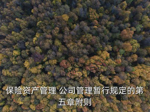 保險資產管理 公司管理暫行規(guī)定的第五章附則