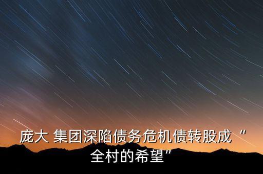  龐大 集團深陷債務(wù)危機債轉(zhuǎn)股成“全村的希望”