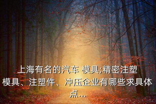  上海有名的汽車 模具;精密注塑 模具、注塑件、沖壓企業(yè)有哪些求具體點...