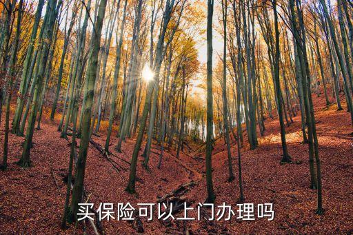 買(mǎi)保險(xiǎn)可以上門(mén)辦理嗎