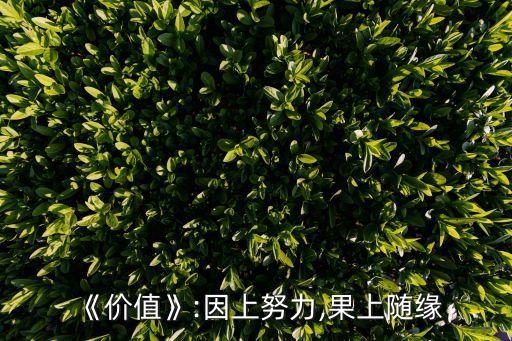《價值》:因上努力,果上隨緣