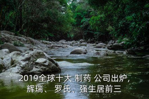2019全球十大 制藥 公司出爐,輝瑞、 羅氏、強(qiáng)生居前三