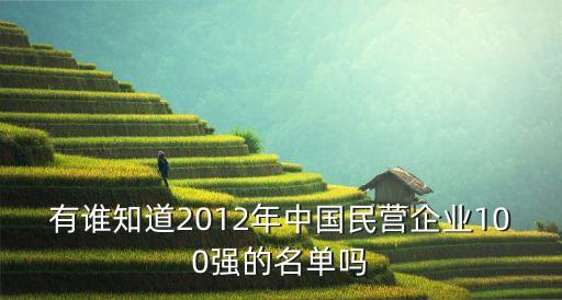 有誰知道2012年中國(guó)民營(yíng)企業(yè)100強(qiáng)的名單嗎