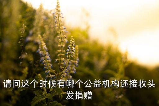 廣東省富迪慈善基金會(huì),富迪慈善基金會(huì)理事長胡靜