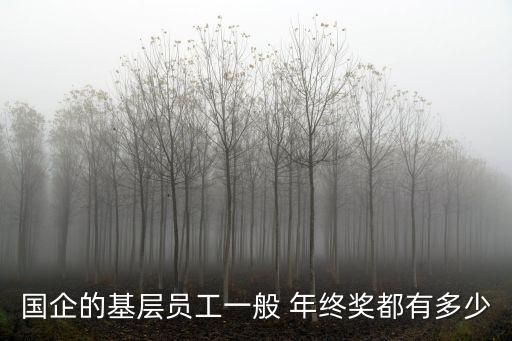 國企的基層員工一般 年終獎都有多少