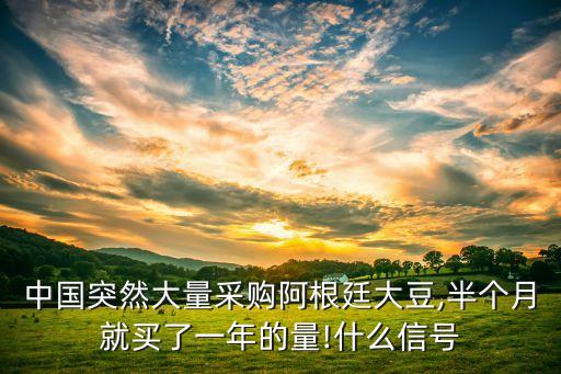 中國突然大量采購阿根廷大豆,半個(gè)月就買了一年的量!什么信號
