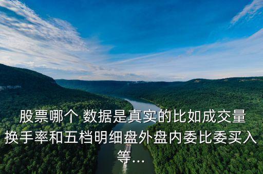  股票哪個 數(shù)據(jù)是真實的比如成交量換手率和五檔明細(xì)盤外盤內(nèi)委比委買入等...