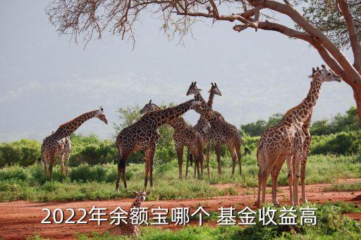 2022年余額寶哪個 基金收益高