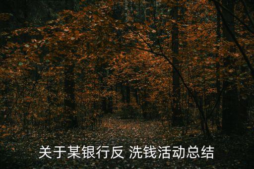 關(guān)于某銀行反 洗錢(qián)活動(dòng)總結(jié)