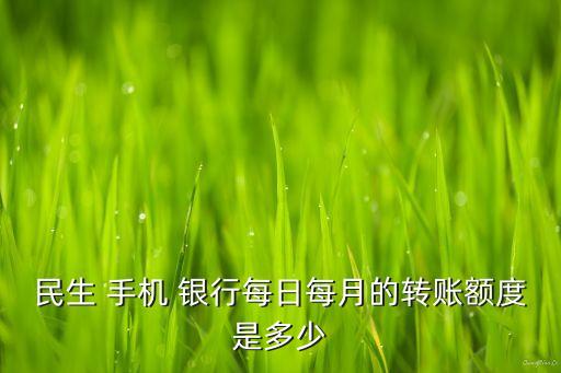 民生 手機(jī) 銀行每日每月的轉(zhuǎn)賬額度是多少