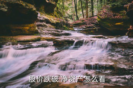 股價低于每股凈資產的股票,低股價股票排行榜