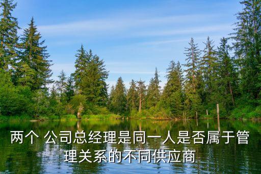 兩個 公司總經(jīng)理是同一人是否屬于管理關系的不同供應商