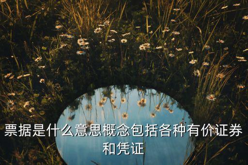 股票里的發(fā)票,股票和發(fā)票有什么區(qū)別