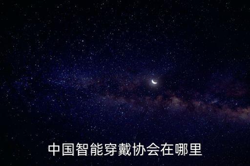 藍(lán)海國際控股有限公司,深圳中電藍(lán)?？毓捎邢薰靖笨偨?jīng)理