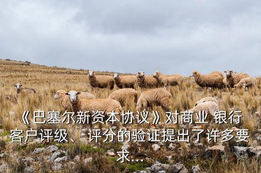 《巴塞爾新資本協(xié)議》對商業(yè) 銀行 客戶評級、 評分的驗證提出了許多要求...