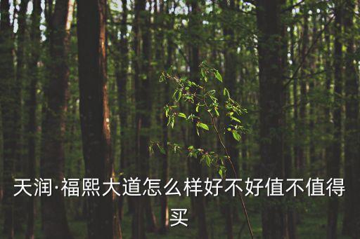 天潤(rùn)·福熙大道怎么樣好不好值不值得買