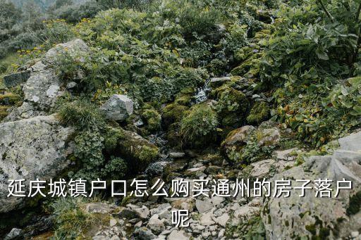 北京市通州區(qū)住建委電話,通州區(qū)住建委領導班子