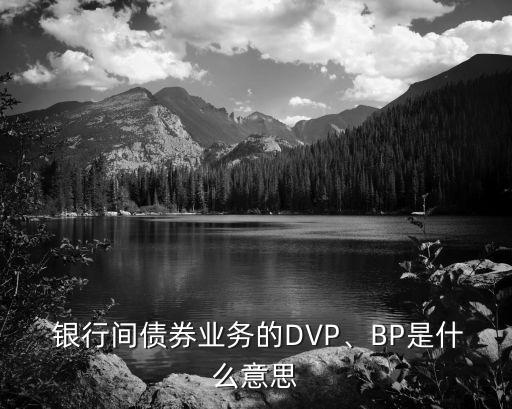  銀行間債券業(yè)務的DVP、BP是什么意思