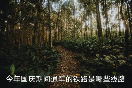 今年國(guó)慶期間通車(chē)的鐵路是哪些線路