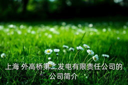 上海 外高橋第二發(fā)電有限責(zé)任公司的公司簡(jiǎn)介