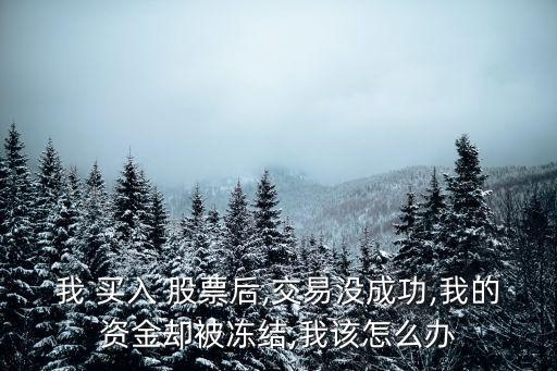 我 買入 股票后,交易沒(méi)成功,我的資金卻被凍結(jié),我該怎么辦