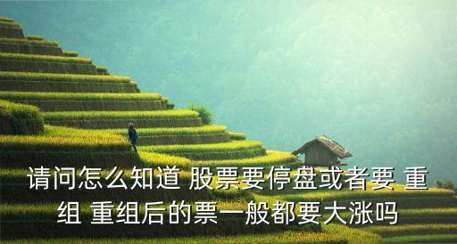 請(qǐng)問(wèn)怎么知道 股票要停盤或者要 重組 重組后的票一般都要大漲嗎