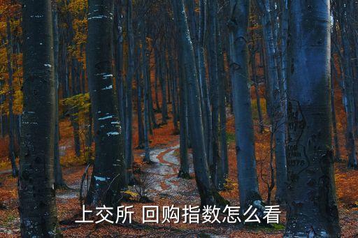 上交所 回購(gòu)指數(shù)怎么看
